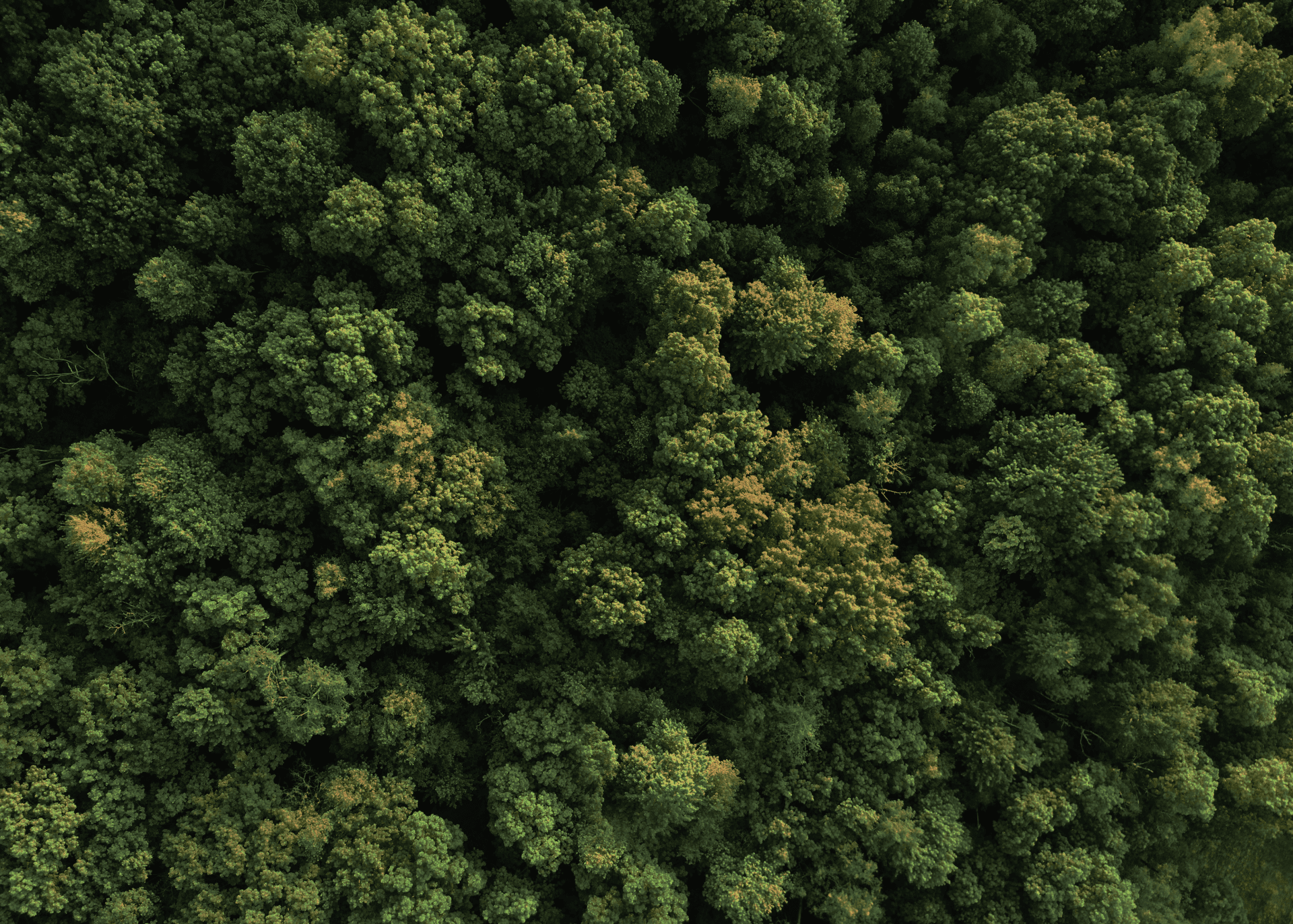 EC achieves B Corporation certification